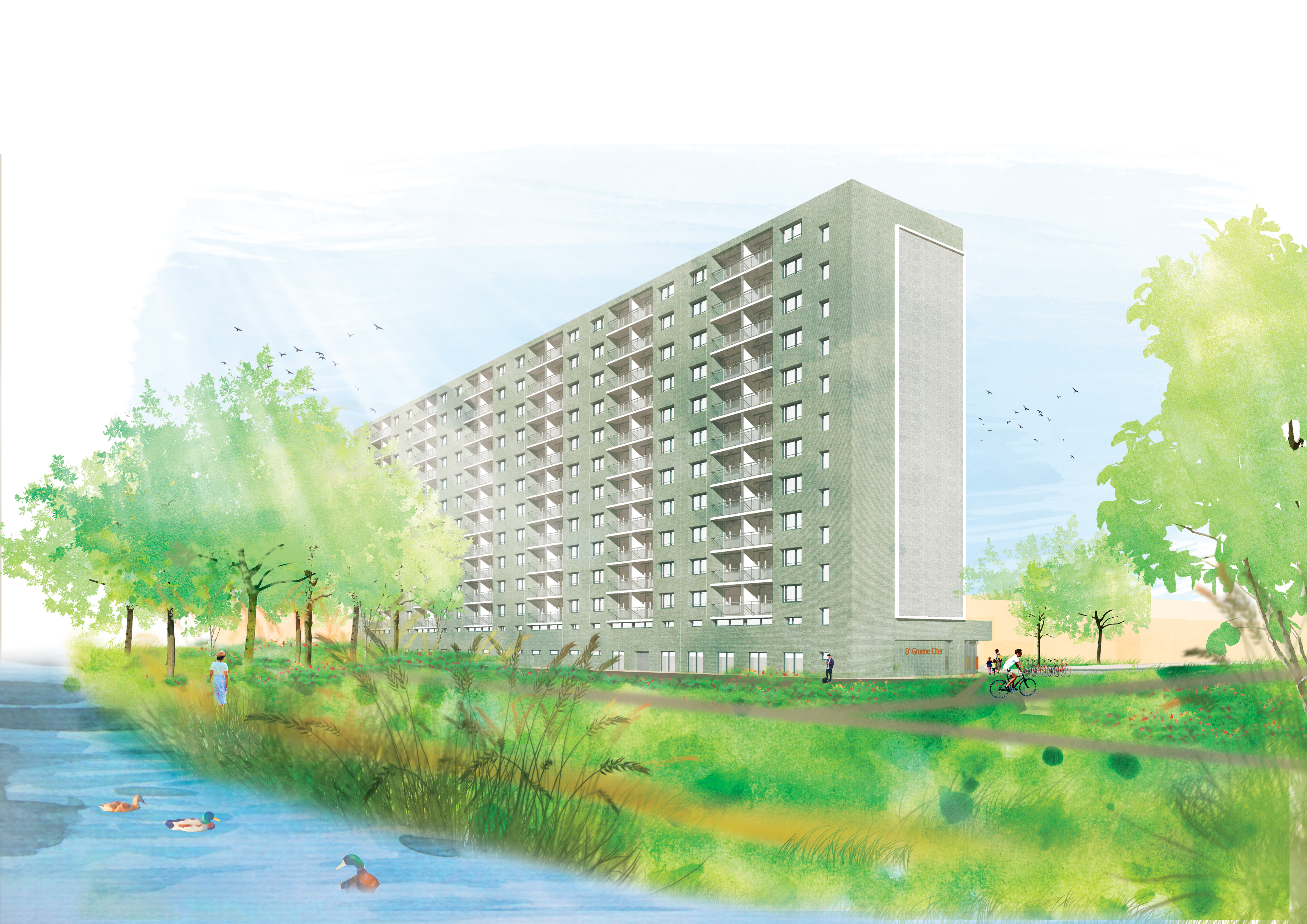 Renovatie D' Groene Citer achterkant 2