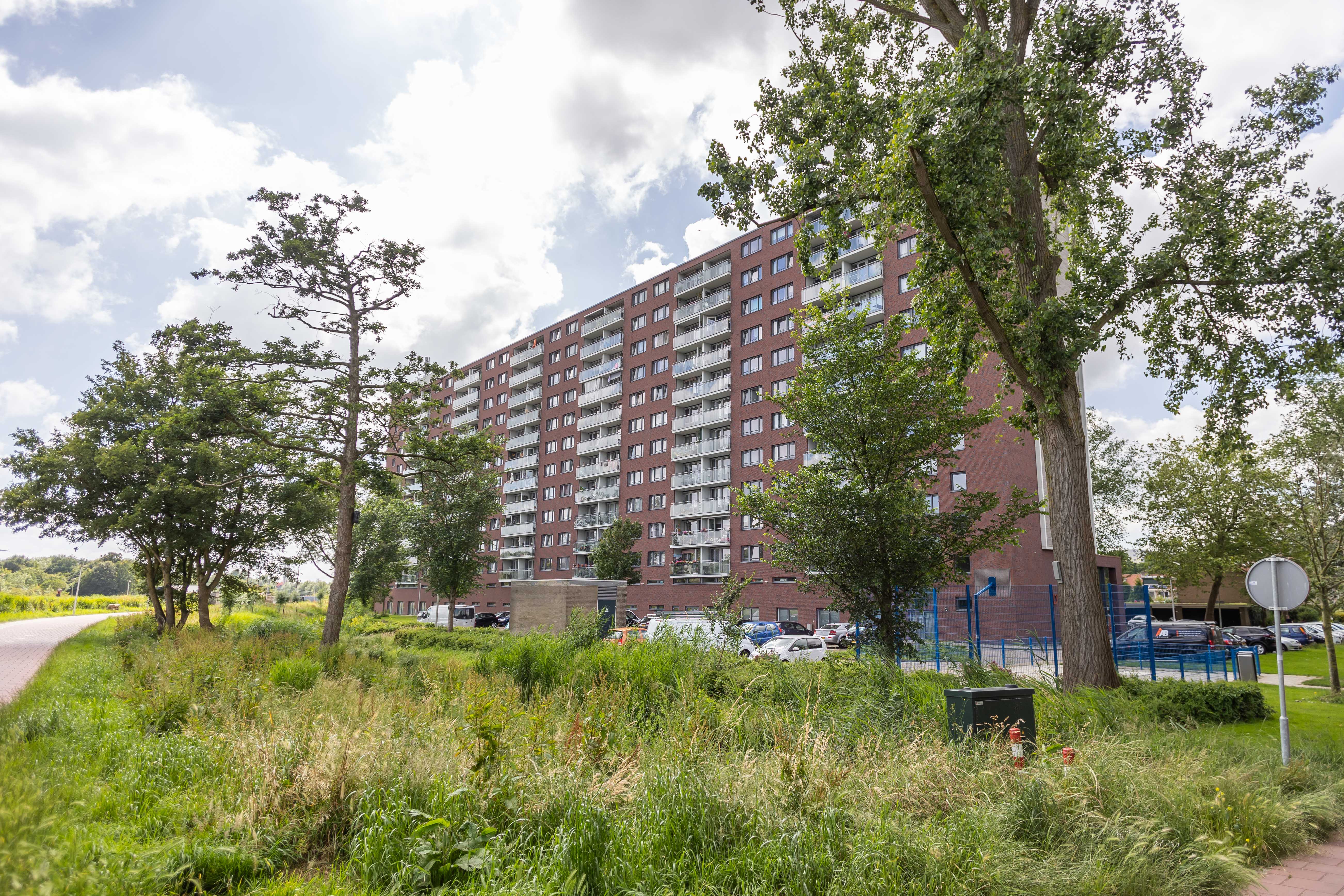 D' Rode Garrels