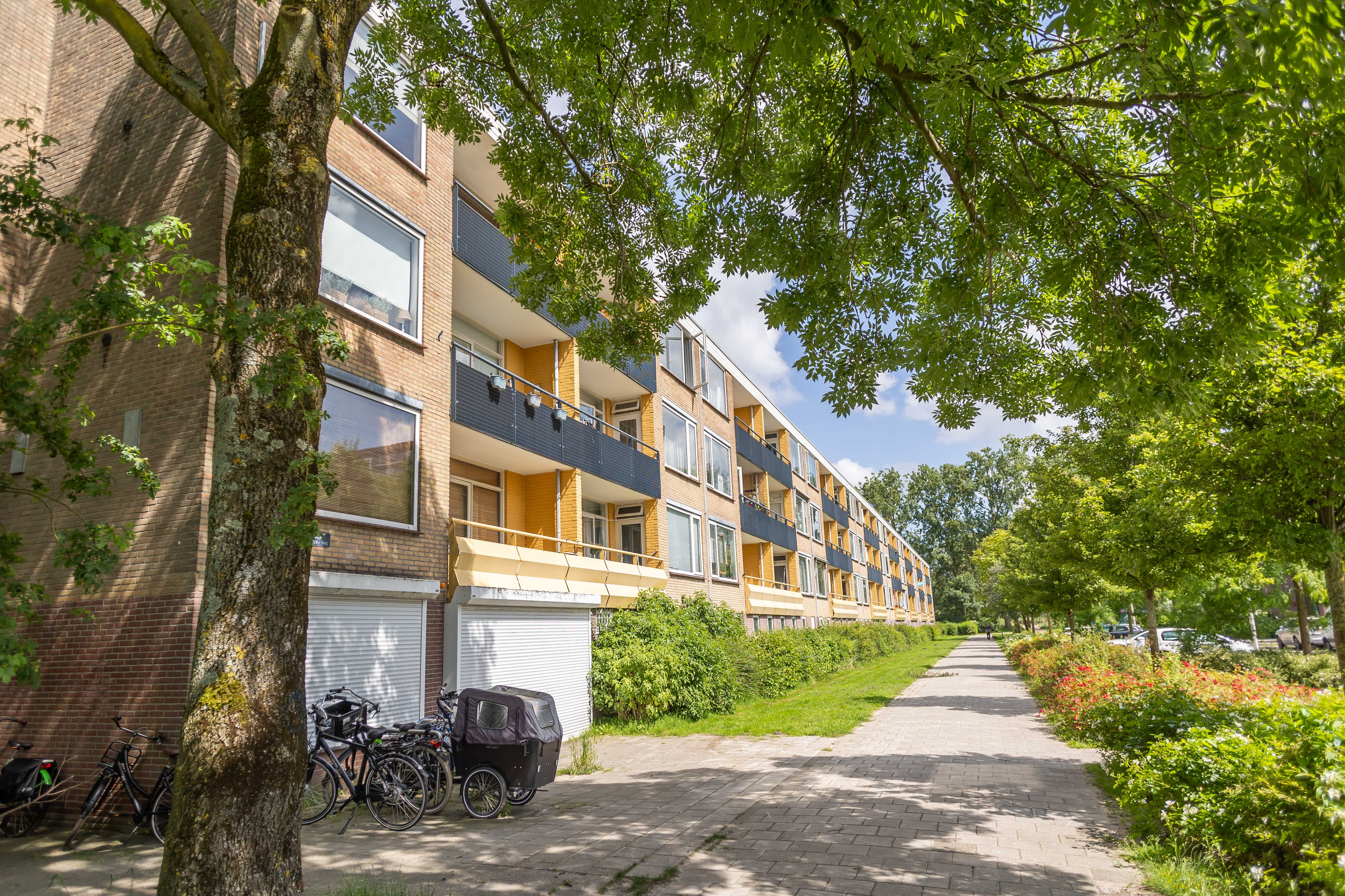 Hannie Schaft- Citerstraat