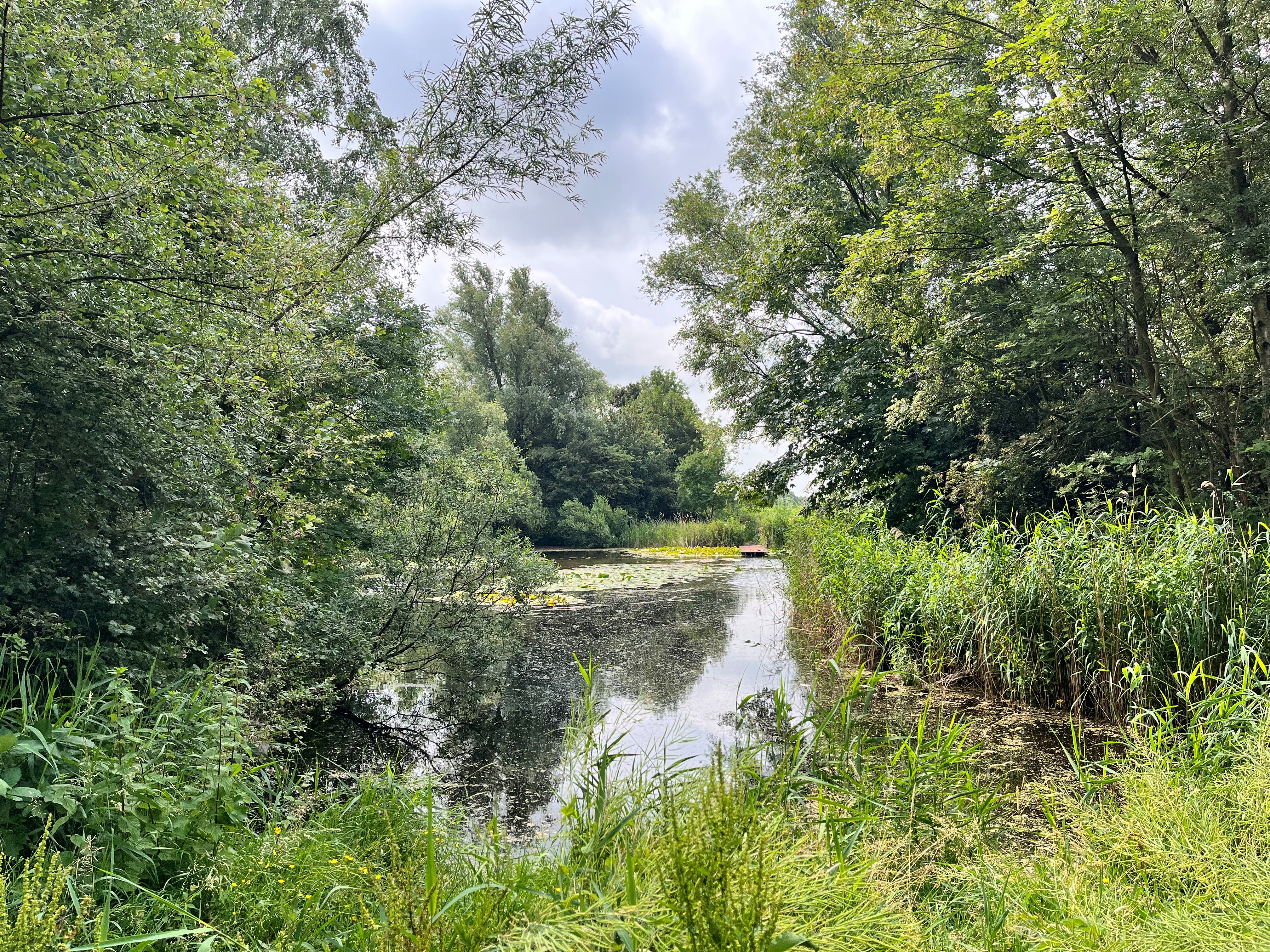 foto van het dwarsgouwgebied