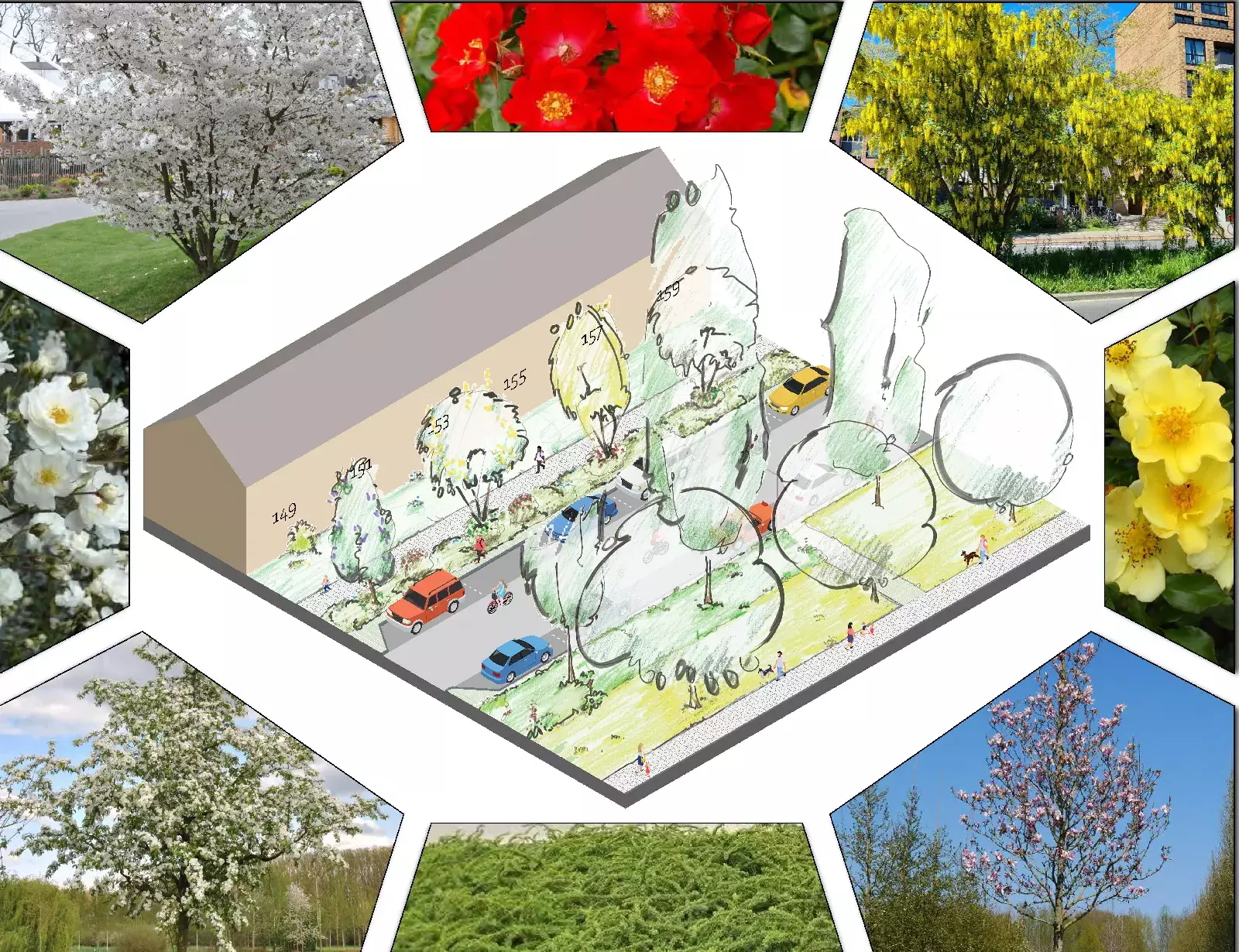 Schets van de buurt met nieuwe groenvakken