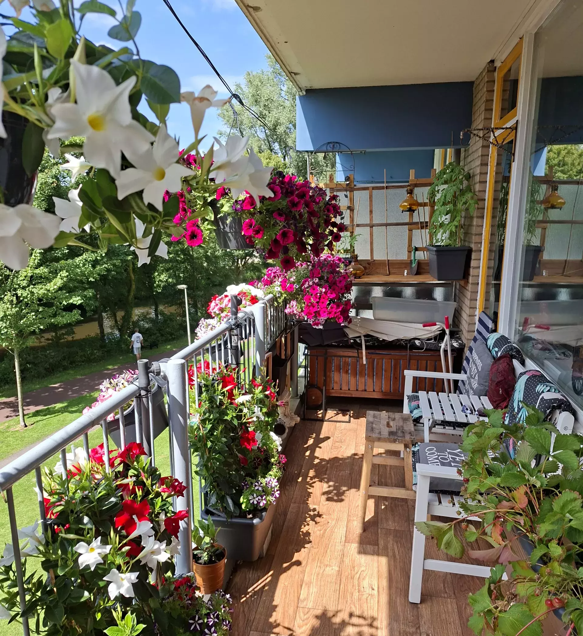 het groene balkon van familie geugjes